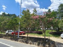 -芦茨金富饭庄·25年老字号·专做稻草鸡