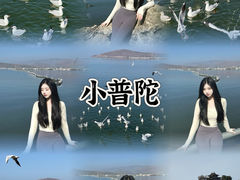 -小普陀