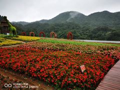 -广州市石门国家森林公园