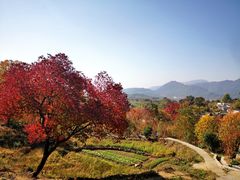 -塔川景区
