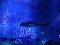 -沈阳海洋探索中心