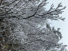 -金子山原生态旅游风景区
