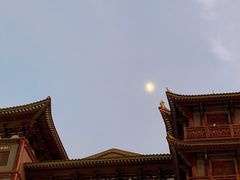 -椰爺爺·椰子冻砵仔糕