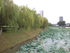-桐乡植物园