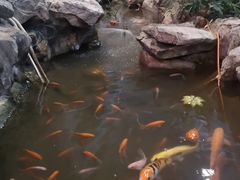 环境-森谷美食公园(杨行店)