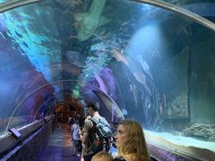 -凯莉-塔尔敦海洋生物水族馆