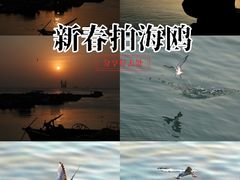 -硇洲岛旅游区