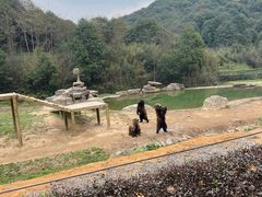 -杭州野生动物世界