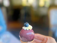 -蝶舍·MAISON PAPILLON