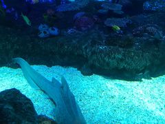 -沈阳海洋探索中心