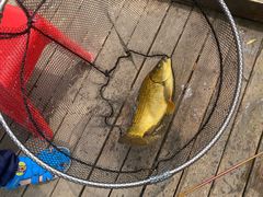 -酷鱼垂钓CLUB(朝阳区博大路店 )