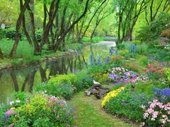 -上海共青森林公园