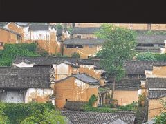 -杨家堂村