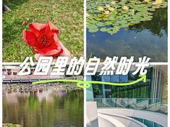 -云溪植物园