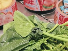 -龍歌自助小火锅(市南金茂湾店)