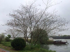 iphone_upload_pic-太阳岛旅游度假区