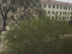 -济南南郊宾馆
