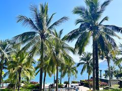 -日落吧·海景咖啡厅·餐酒吧·鸡尾酒·下午茶·乐队表演·浪漫夕阳·三亚文华东方酒店
