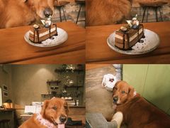 -六区宿舍咖啡店