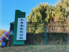 -长白岛森林公园