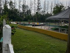 -前小桔亲子创意农场·草莓采摘·露营烧烤