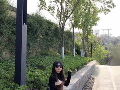 -重庆平顶山公园