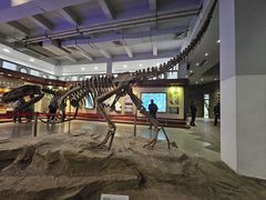 -自贡恐龙博物馆