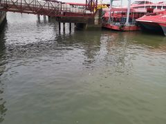 -澳门外港客运码头(轮渡站)