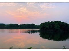 -上海市保健医疗中心(华东疗养院)