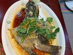 清蒸龙趸鱼-乡下人家大酒楼(大鳌溪店)