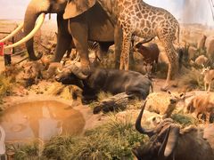 -陕西自然博物馆