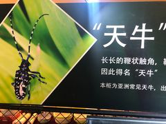 -燕莎友谊商城(亮马桥店)