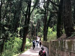 -七曲山风景区