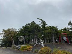 -富士山吉田線五合目