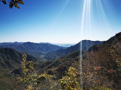 -大岭沟猕猴桃谷风景区