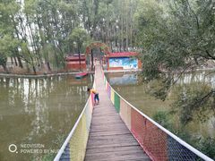 -东方巨龟苑景区