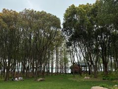 -渤公岛生态公园