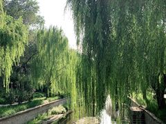 -元大都城垣遗址公园