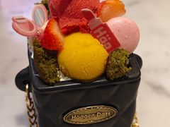 香榭假日外带冰淇淋杯-哈根达斯(华星店)