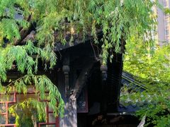 -大妙火锅·非物质文化遗产(东湖公园店)