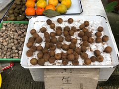 -海窝子古镇