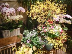 -春暖花开(西溪店)