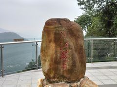 -铁山坪森林公园