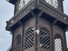 -永定河休闲森林公园