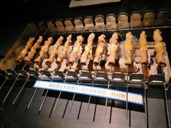 呼伦贝尔羊肉串-很久以前羊肉串(中山公园店)