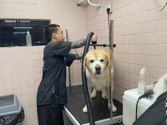 -FAELING PETS美天灵宠物(富力广场店)