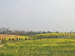 -三圣花乡旅游区