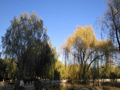 -莲花池公园
