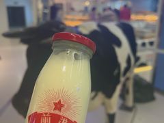 -红星前进面包牛奶公司(君太店)