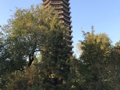 -北京大学-燕南食堂